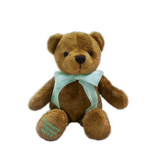 Custom Plush Soft Brown Bear